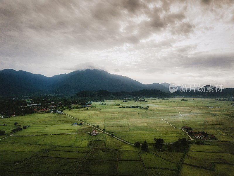 清晨的兰卡威，吉打稻田与雾与gunung raya山的背景覆盖着云